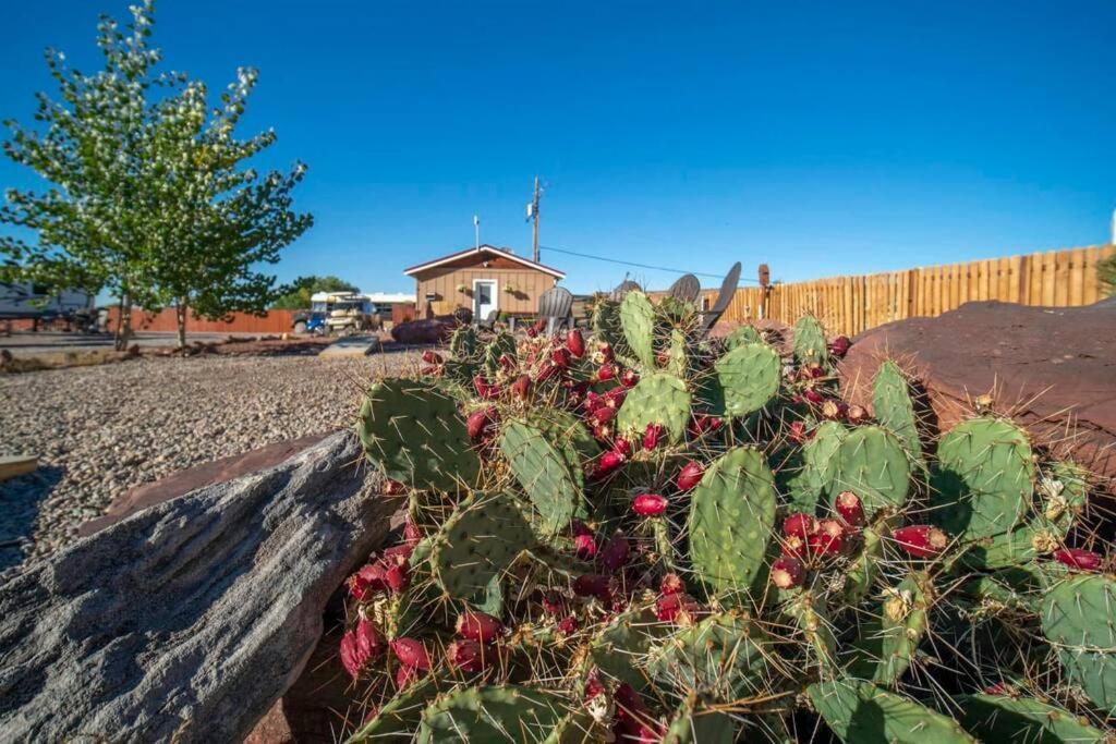 הוילה Redrock Moab Tiny House W Large Loft Site 8 מראה חיצוני תמונה
